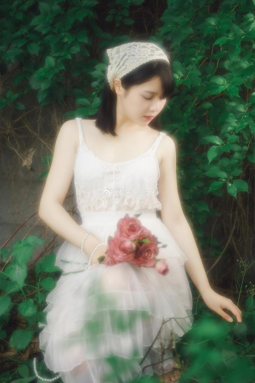 更新！七月喵子壁纸小蓝鸟最新作品集，为你打call
