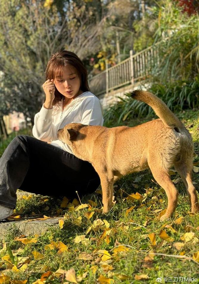 三刀刀miido 三刀刀miido居家壁纸集:简洁大方的客厅背景墙设计方案