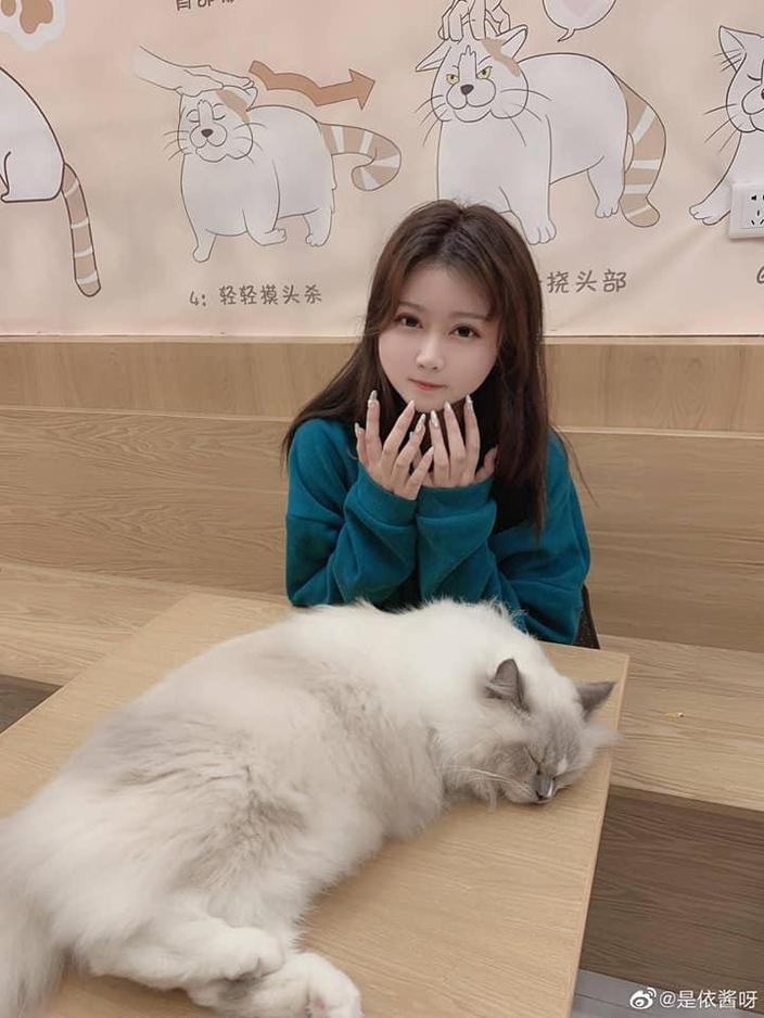 是依酱呀小蓝鸟美图堪称绝世巨作