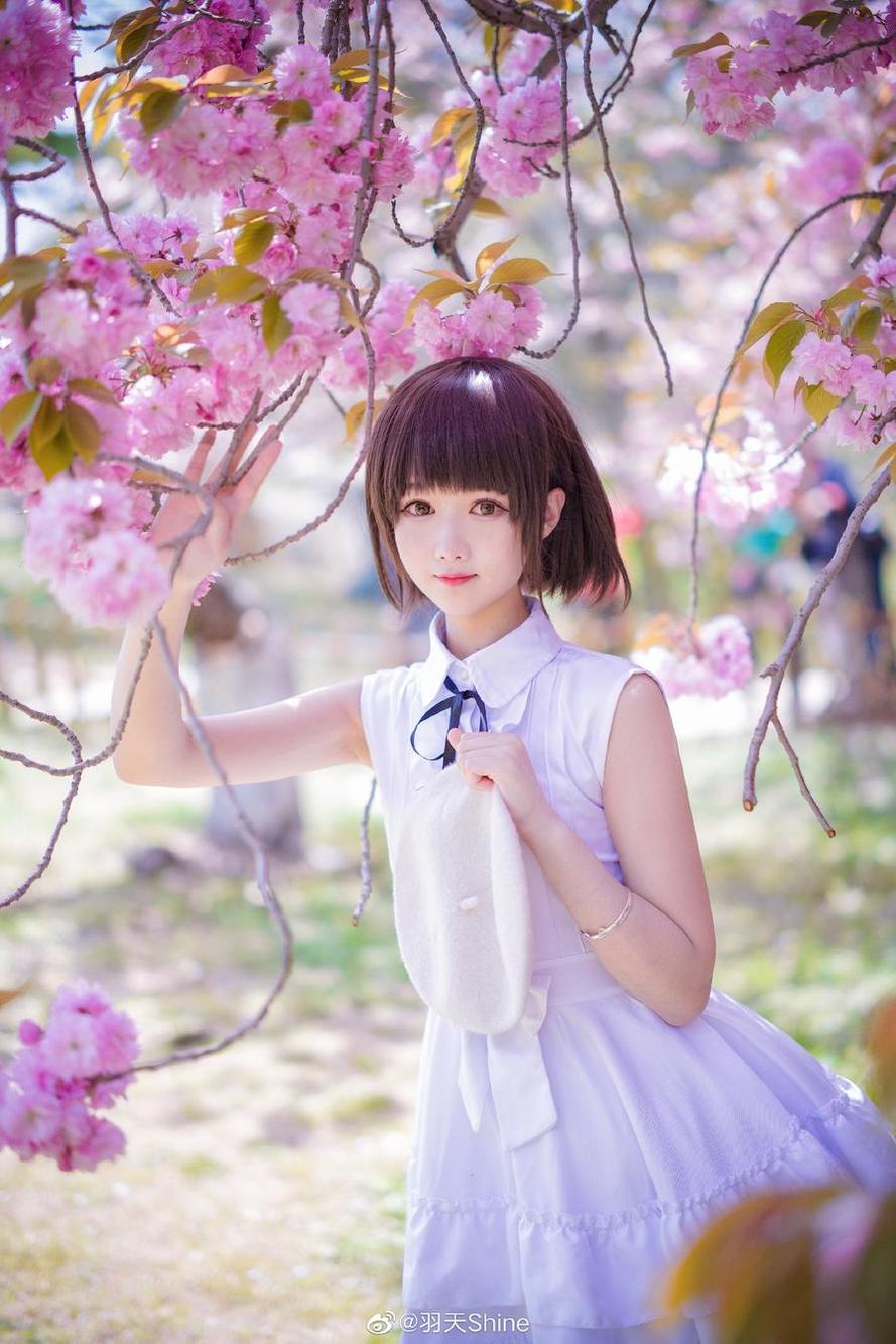 羽天shine 羽天shine提取码分享,多组大神cos合集等你来收藏