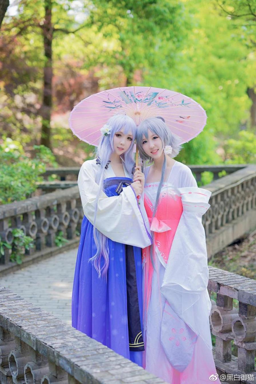 黑白御猫ins大片曝光，绝美照片震撼上线